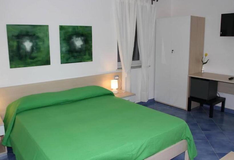 스탠다드 테라스 룸, Belvedere