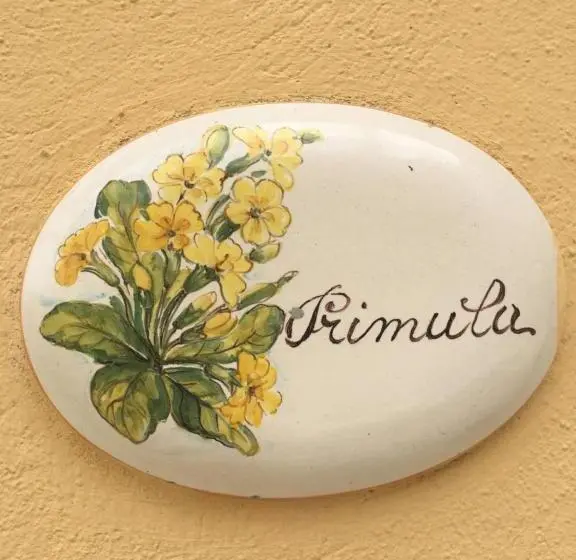 スタンダードシングルルーム, Agriturismo Podere Bucine Basso