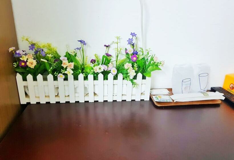 Номер Стандарт, Green Box Hotel Hostel