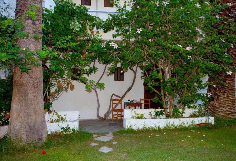 חדר סטודיו סטנדרד, Damnoni Paradise