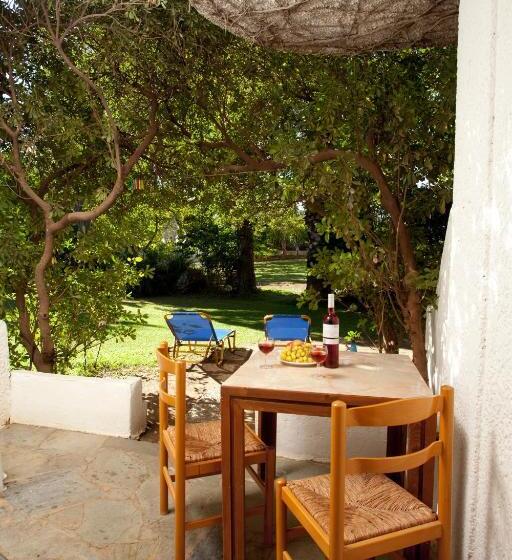 דירת שני חדרים, Damnoni Paradise