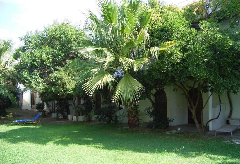 דירת שני חדרים, Damnoni Paradise