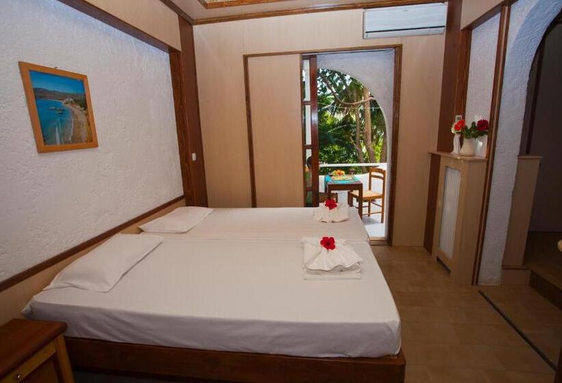 דירת שני חדרים, Damnoni Paradise