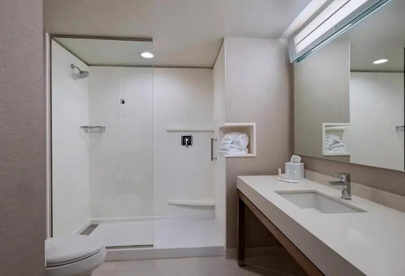 障害者適応デラックスルーム, Courtyard By Marriott Jackson Madison
