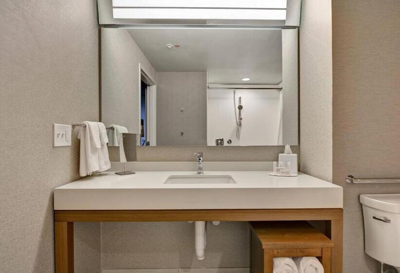 غرفة ديلوكس لذوى الاحتياجات الخاصة, Courtyard By Marriott Jackson Madison