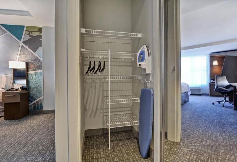 장애인용 디럭스룸, Courtyard By Marriott Jackson Madison
