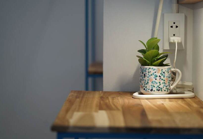 Номер Basic, Mini S