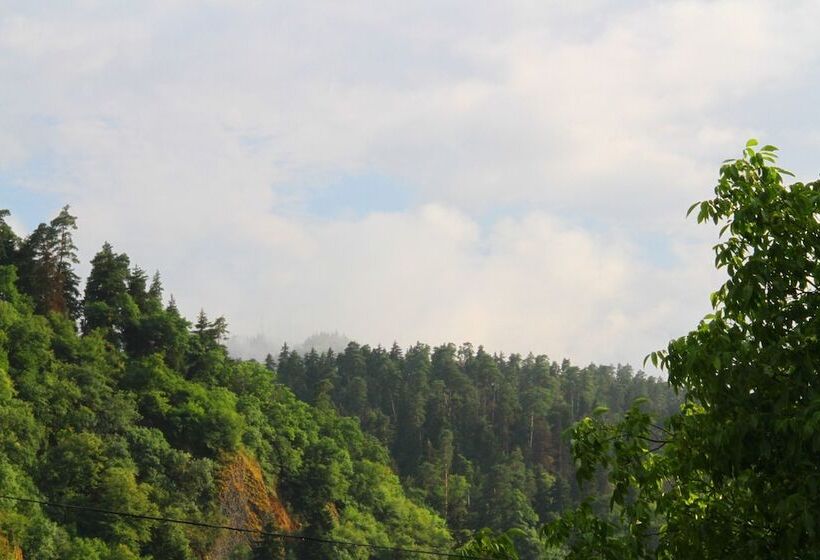 اتاق استاندارد سه نفره, Old Borjomi