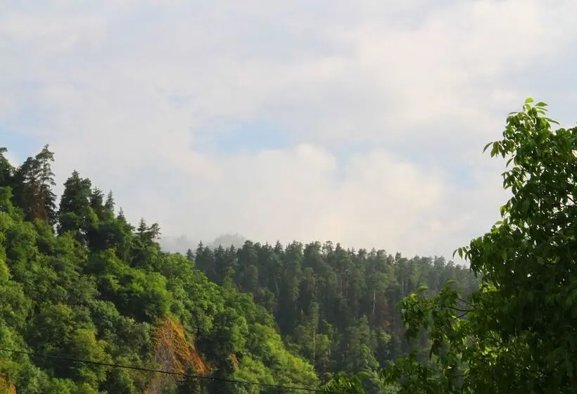 اتاق استاندارد سه نفره, Old Borjomi