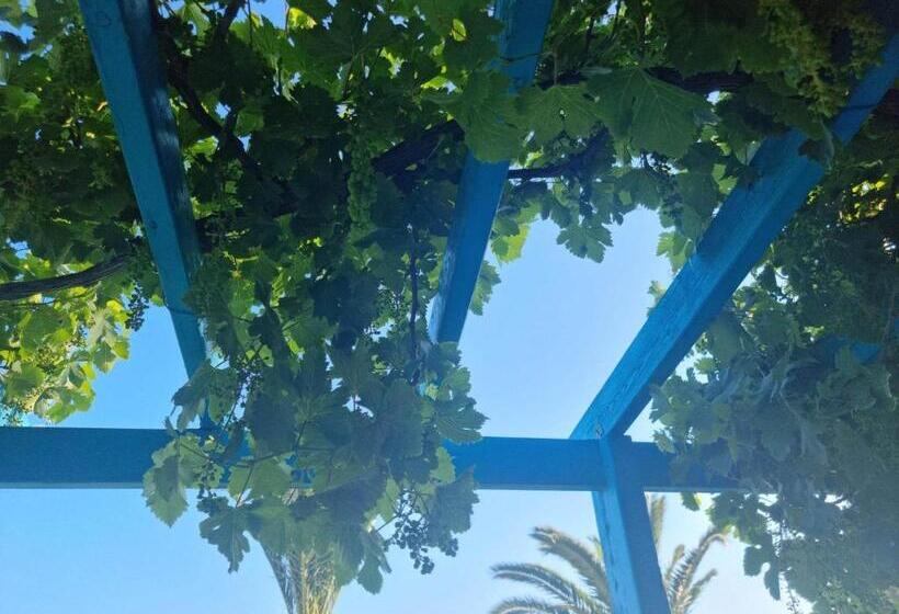 带海景的标准工作室, Artemis