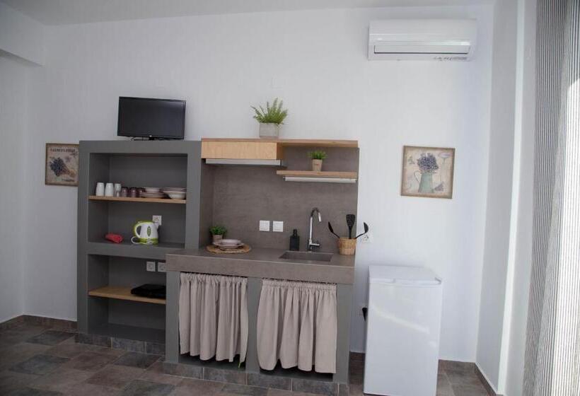 带1个卧室的豪华公寓, Artemis