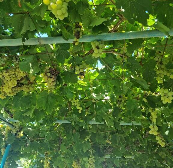 Triple Room Sea View, Artemis