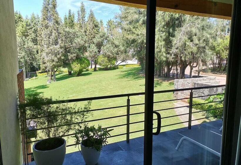 高级大房间, Boutique Unico Avandaro