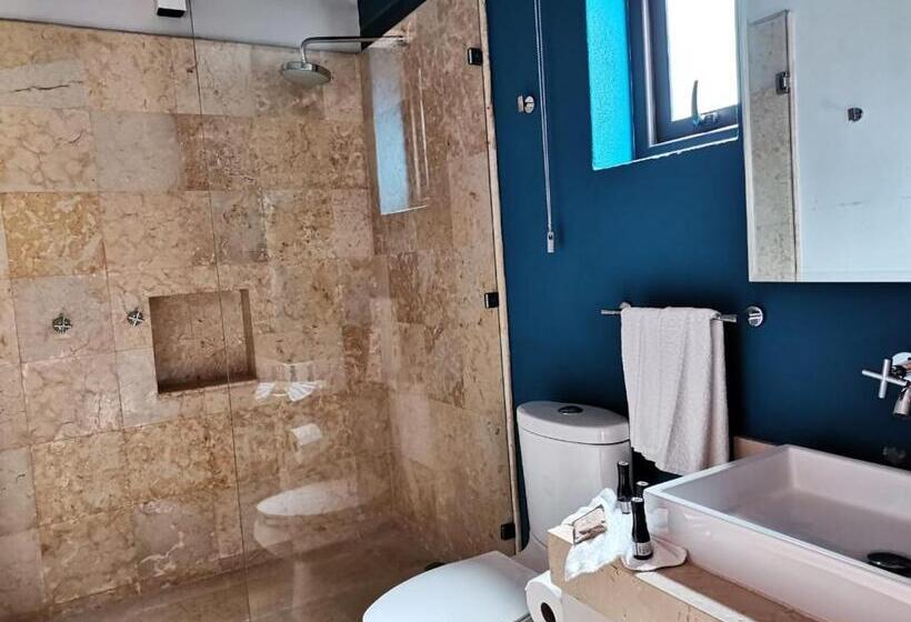 高级大房间, Boutique Unico Avandaro