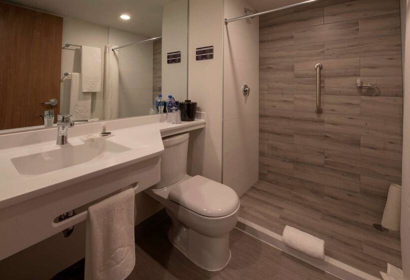 غرفه قياسيه سريرين مزدوجين, Microtel Inn & Suites By Wyndham San Luis Potosi