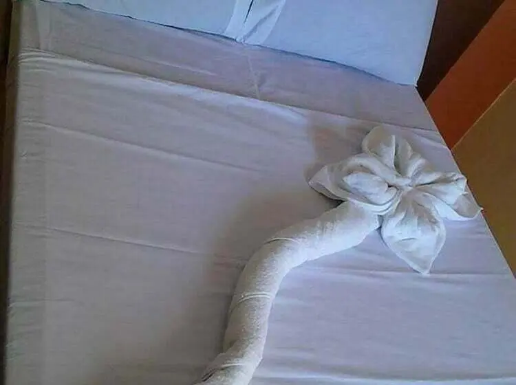اتاق استاندارد, N & F Guest House