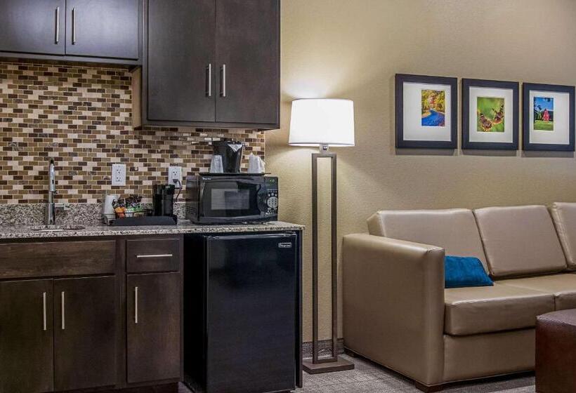 جناح سرير كينج, Comfort Suites