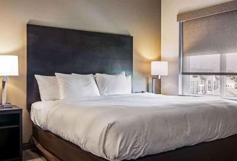 Sviitti King-vuode, Comfort Suites
