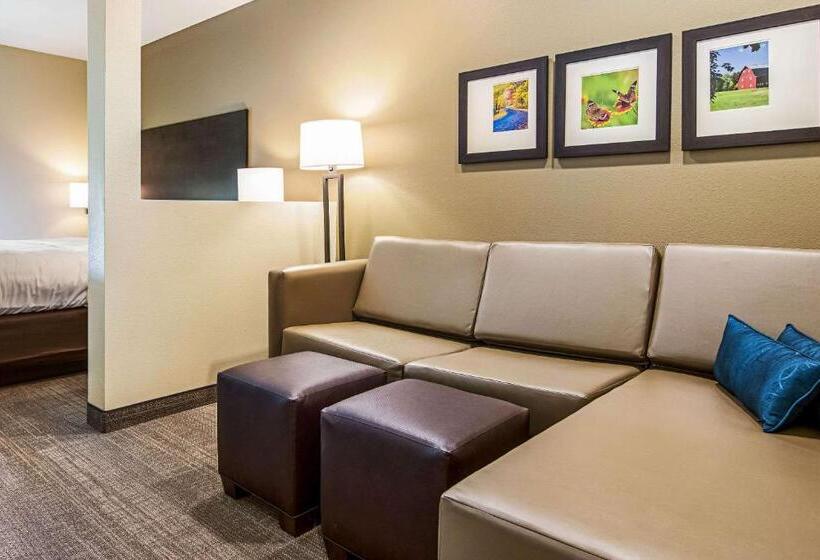 Люкс Кровать Кинг, Comfort Suites