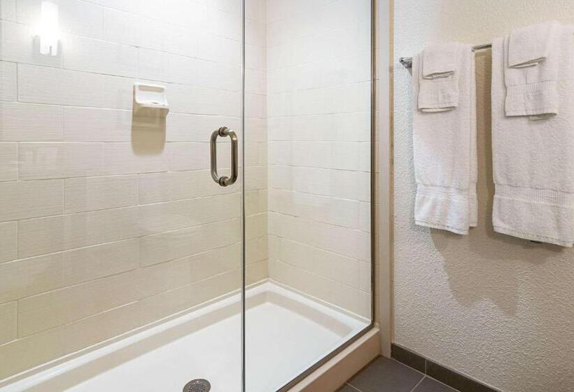 Люкс, Comfort Suites