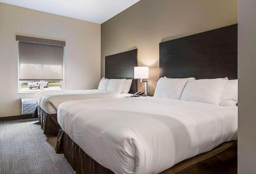 جناح لذوى الاحتياجات الخاصة, Comfort Suites