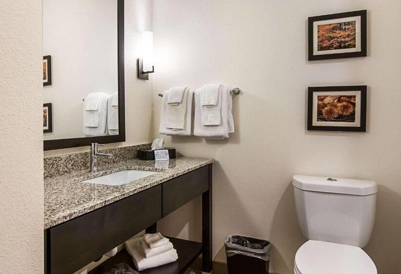 جناح سرير كينج, Comfort Suites