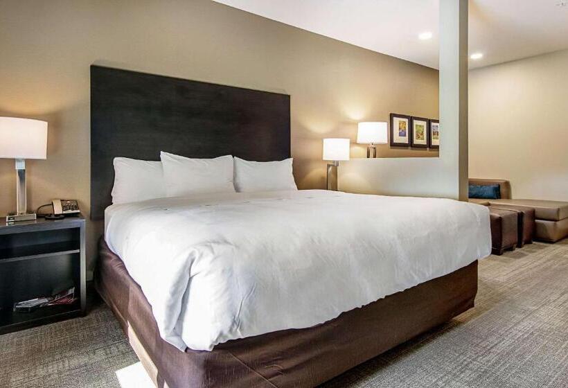 جناح لذوى الاحتياجات الخاصة, Comfort Suites