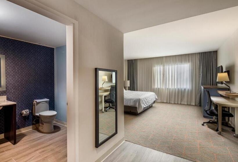 חדר סטנדרט עם מיטת קינג, Holiday Inn & Suites   Aguascalientes, An Ihg
