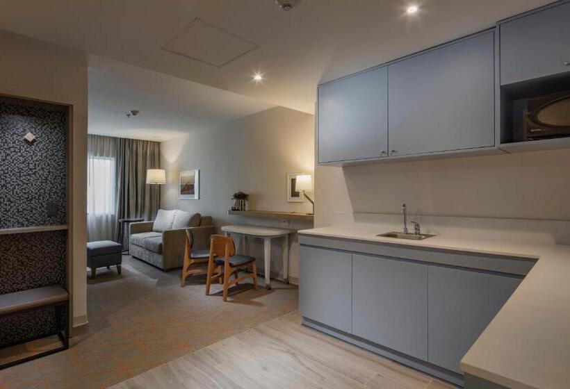 מיטת קינג בסוויטה, Holiday Inn & Suites   Aguascalientes, An Ihg