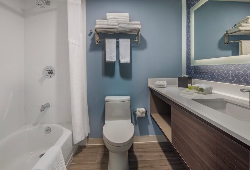 חדר סטנדרט, Holiday Inn & Suites   Aguascalientes, An Ihg