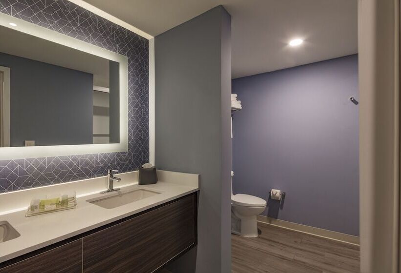 סוויטה, Holiday Inn & Suites   Aguascalientes, An Ihg
