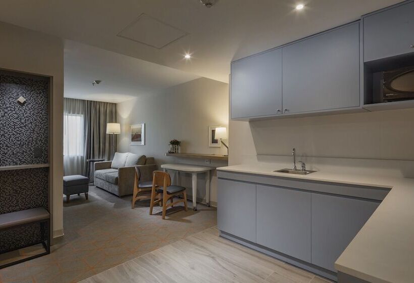 סוויטה, Holiday Inn & Suites   Aguascalientes, An Ihg