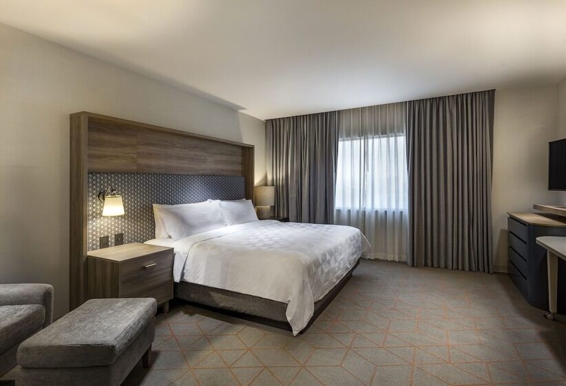 סוויטה, Holiday Inn & Suites   Aguascalientes, An Ihg