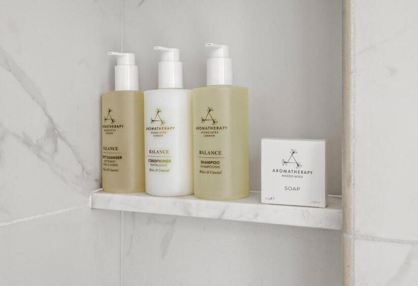 غرفة قياسية لذوى الاحتياجات الخاصة, Jw Marriott Nashville