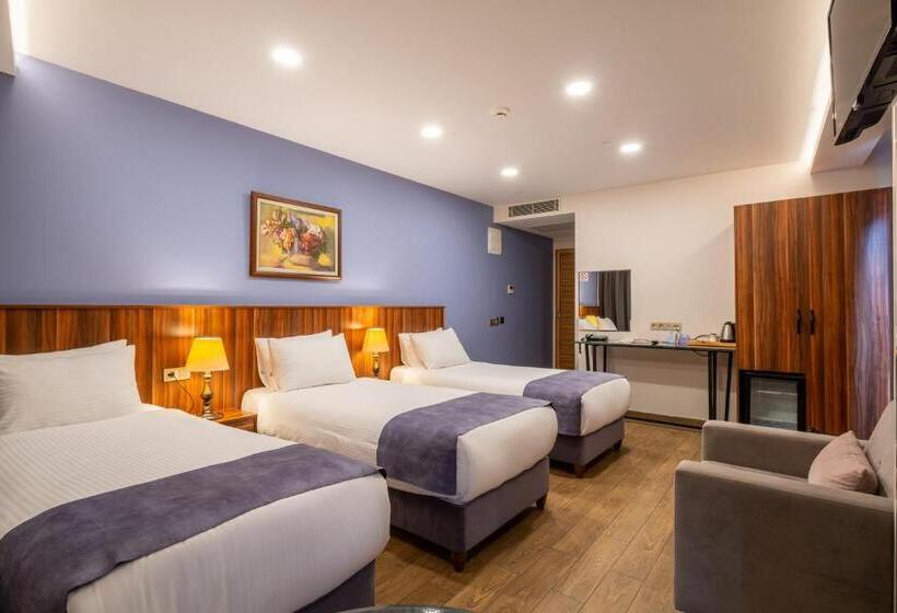 Номер Стандарт Трехместный, La Wisteria Boutique Hotel Istanbul