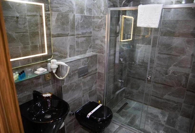 Номер Стандарт Трехместный, La Wisteria Boutique Hotel Istanbul