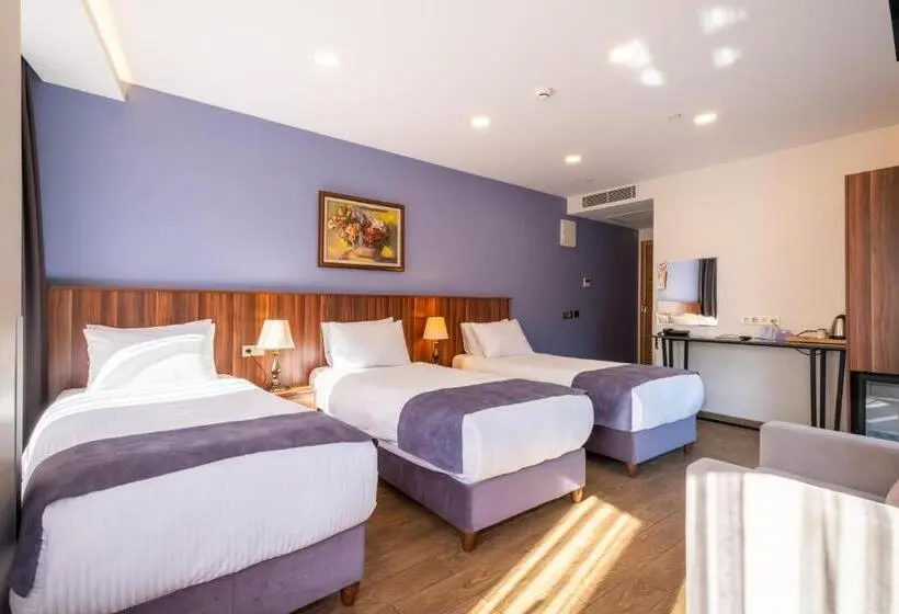 スタンダードトリプルルーム, La Wisteria Boutique Hotel Istanbul