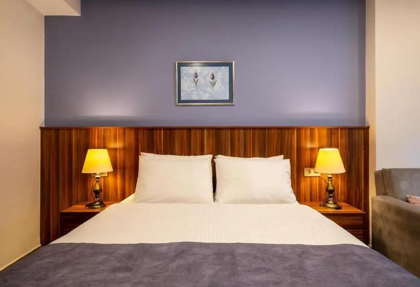 コンフォートルーム, La Wisteria Boutique Hotel Istanbul