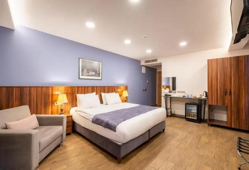 デラックスルーム, La Wisteria Boutique Hotel Istanbul