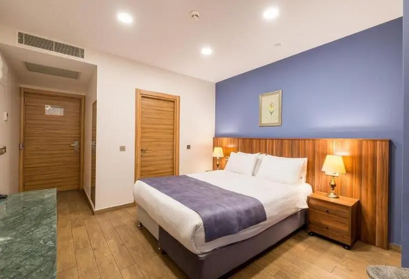 スタンダードルーム, La Wisteria Boutique Hotel Istanbul