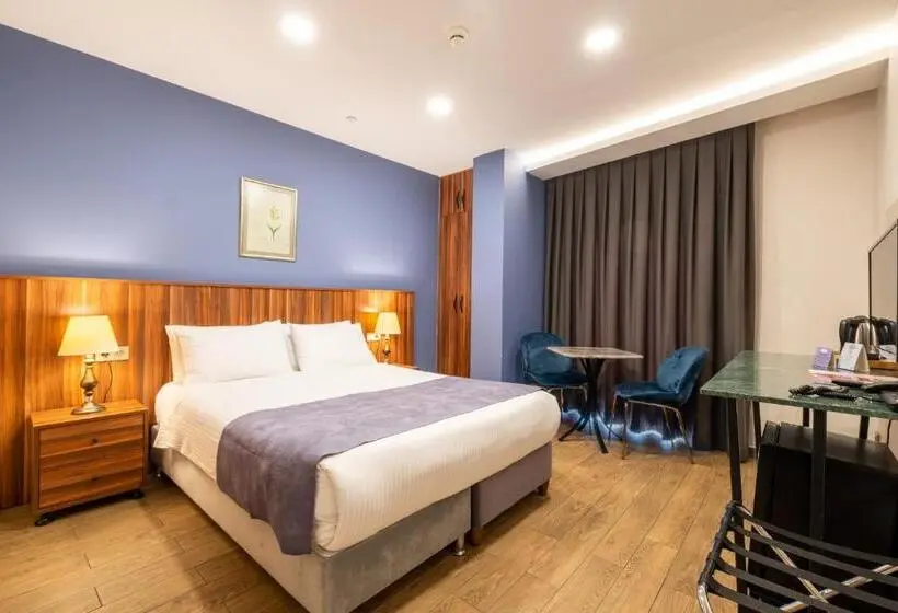 スタンダードルーム, La Wisteria Boutique Hotel Istanbul