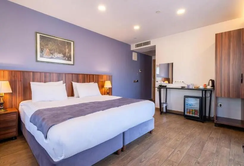 デラックスルーム, La Wisteria Boutique Hotel Istanbul