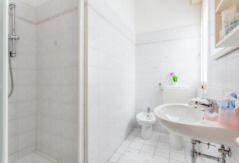 غرفة قياسية, Depandance Hotel Rosa