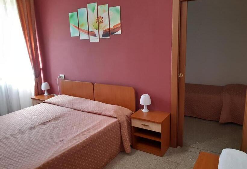 غرفة قياسية, Depandance Hotel Rosa