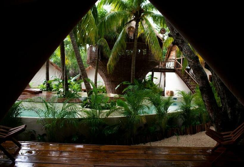 چادر با خدمات رفاهی استاندارد, Serena Tulum  Adults Only