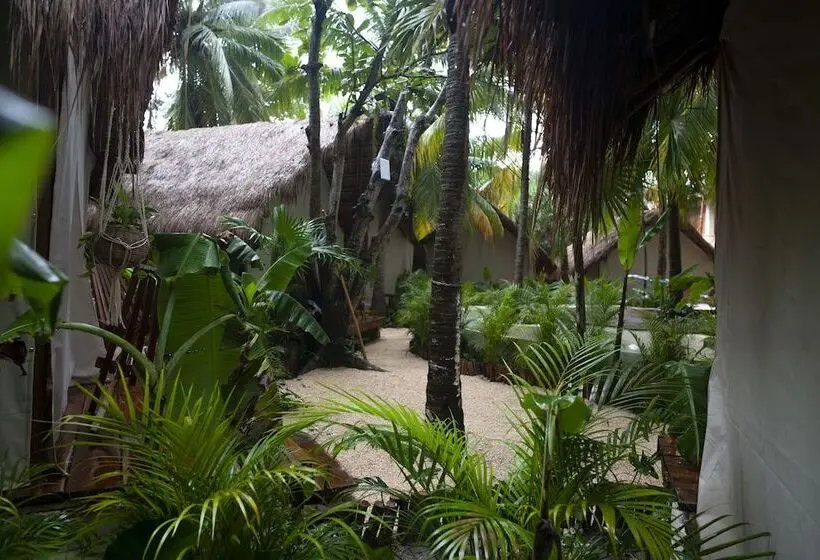Juniorsviitti, Serena Tulum  Adults Only