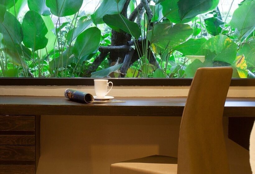 ジュニアスイート, The Glory Gold