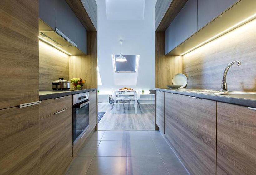 דירת פנטהאוז 1 חדרי שינה, Vagabond Corvin