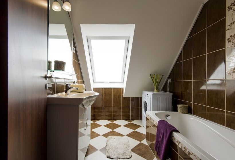 דירת שני חדרים, Vagabond Corvin