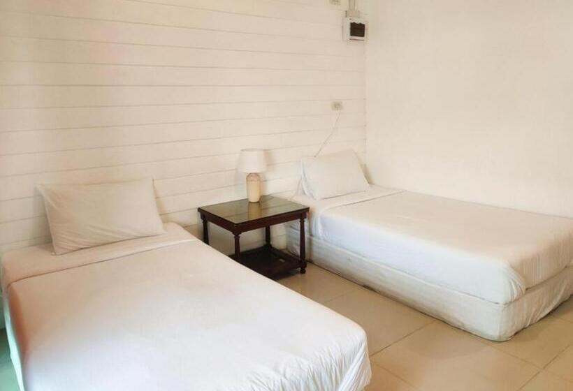 Номер Стандарт, Back Home Backpackers